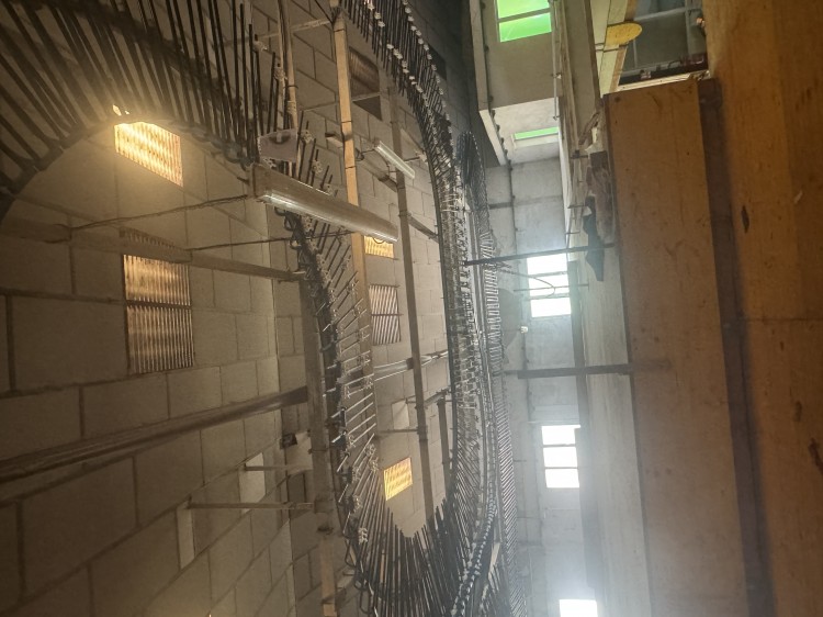 Chain conveyors - Thema - TH001
