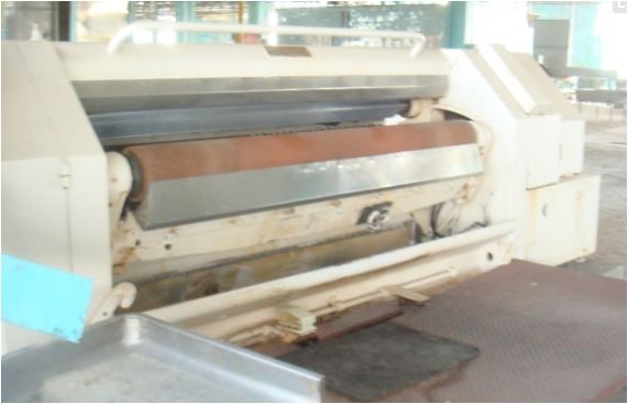 Fleshing machines - Poletto - S 2200