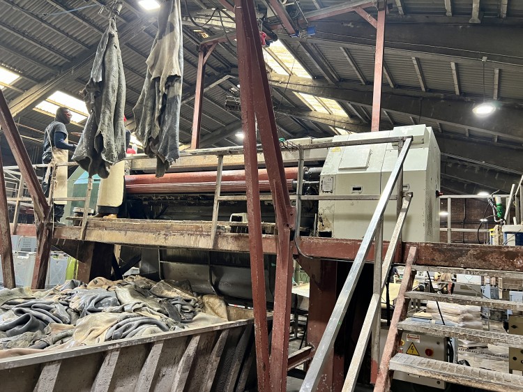 Fleshing machines - ITM ENGINEERING SRL - FBS 3200